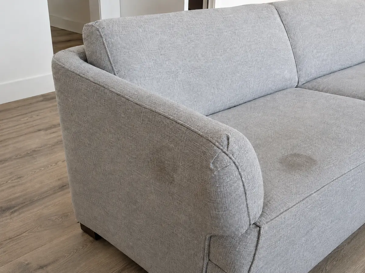 Pet accident clean-up before, Pet stain before and after removal on upholstery in Orlando, FL